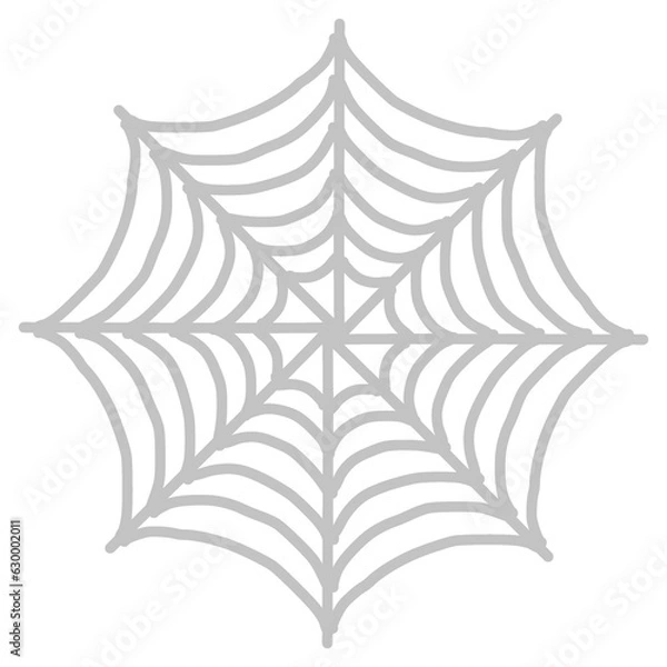 Obraz spider web