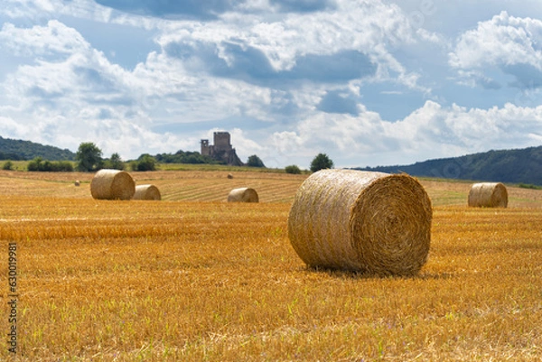 Fototapeta Straw bales in the summer sun on a hillside in Hungary with a castle ruin in the background