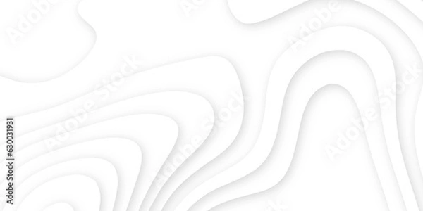 Fototapeta Abstract wavy line 3d paper cut white background. White abstract geometric pattern background. Abstract wavy line 3d paper cut white background. White paper cut white background. 