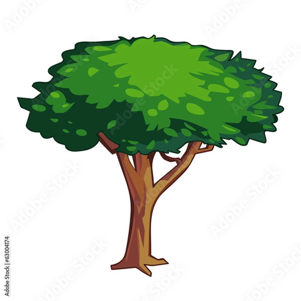 Obraz tree isolated illustration