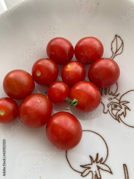 Obraz 200802大朗とミニトマト