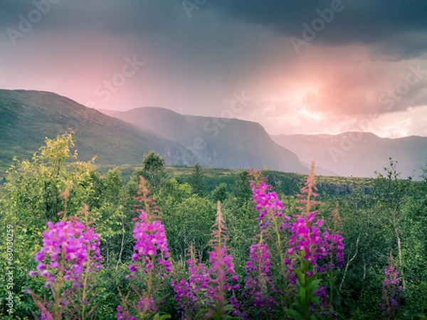 Fototapeta It's Raining Again