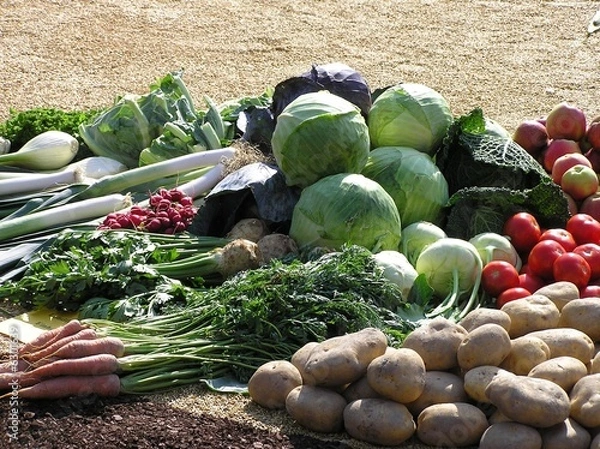 Fototapeta viel Gemüse