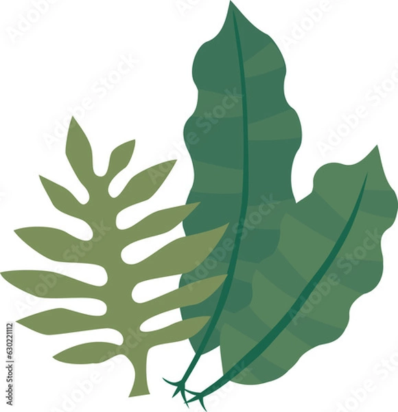 Obraz 海藻のイラスト