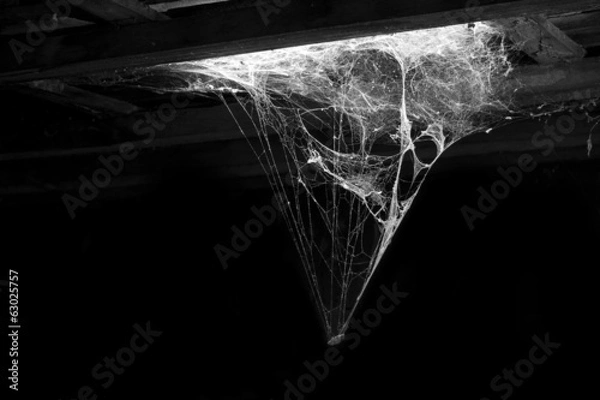 Obraz cobweb and dust