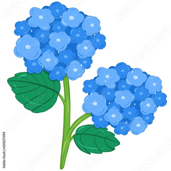Obraz Twins Blue Hydrangeas 