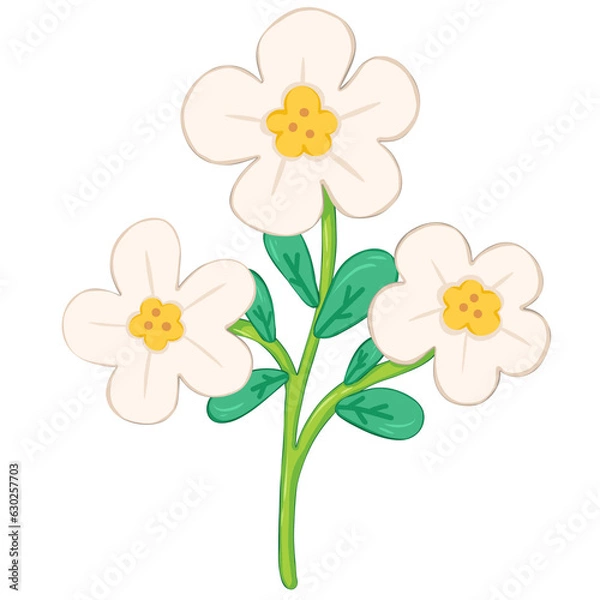Obraz Cute White flowers 