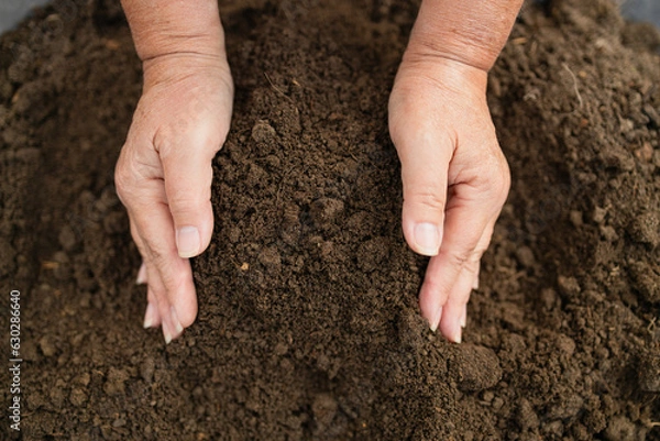 Obraz Woman hands touching soil on the field. Expert hand of farmer checking soil health before growth a seed of vegetable or plant seedling. Business or ecology concept.