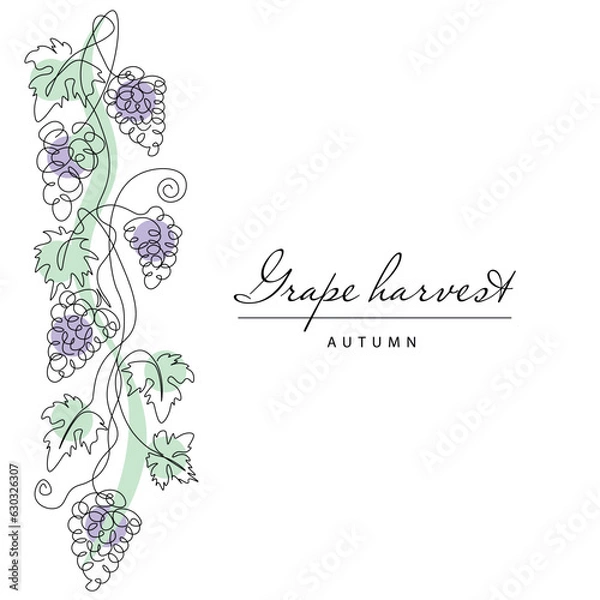Fototapeta Grape. Continuous line drawing grapevine. Illustration of autumn harvest fruits. Frame.