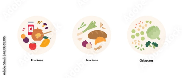 Fototapeta Healthcare dieting infographic collection. Vector flat food illustration. Low Fodmap diet. Foodplate of fructose, fructan, galactan ingredients. Design for health care and healthy eating