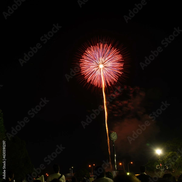 Fototapeta 花火大会