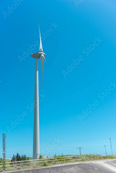 Fototapeta 風力発電