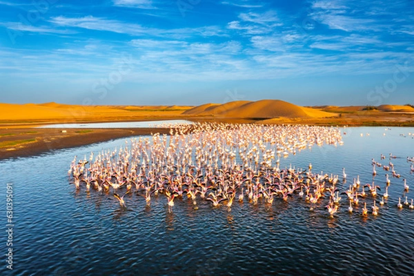 Obraz Pustynne scenerie z lagunami słonymi pełnymi pięknych flamingów. Namib -Nukluft National Park - Walvish Bay, Namibia