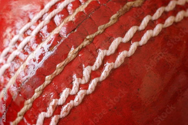Obraz cricket ball