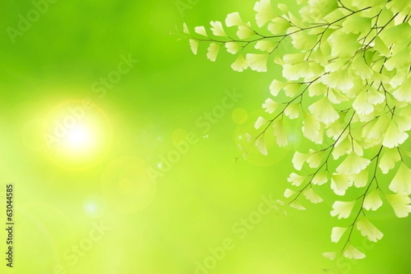 Fototapeta Spring natural background.Stock photo