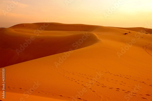 Fototapeta Desert Landscape