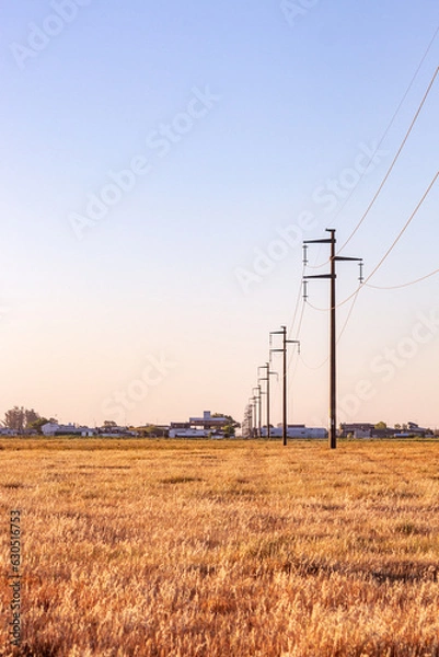 Obraz sown field and light poles wallpapers 
