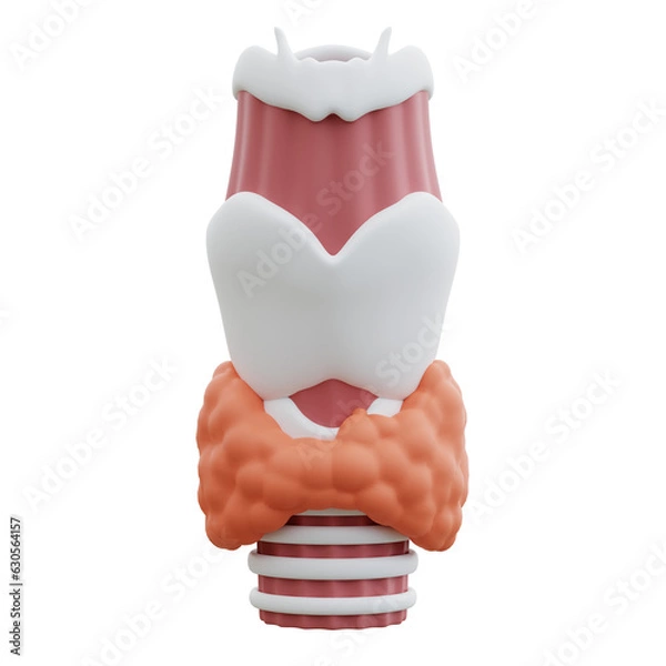 Fototapeta thyroid 3d illustration