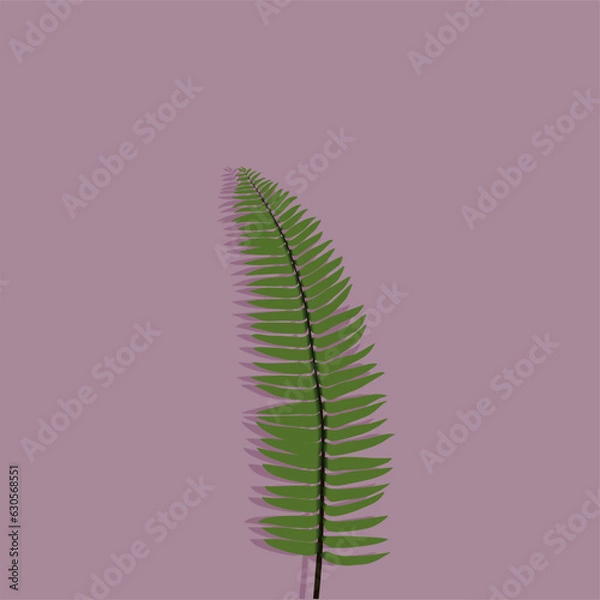 Fototapeta fern leaf vector illustration on purple background 
