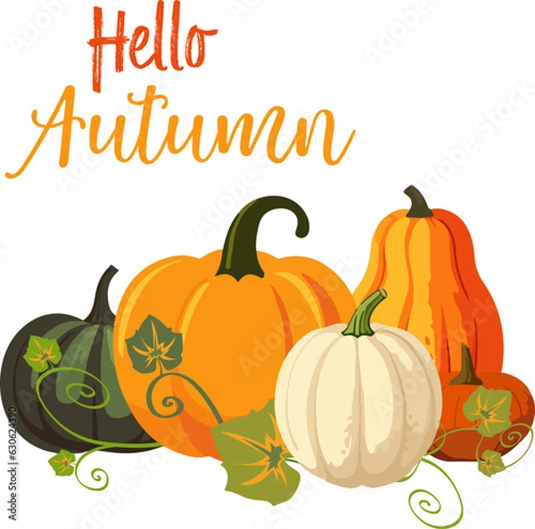 Obraz Vector illustration of pumpking pile with leaves on white backgtound. Hello autumn text