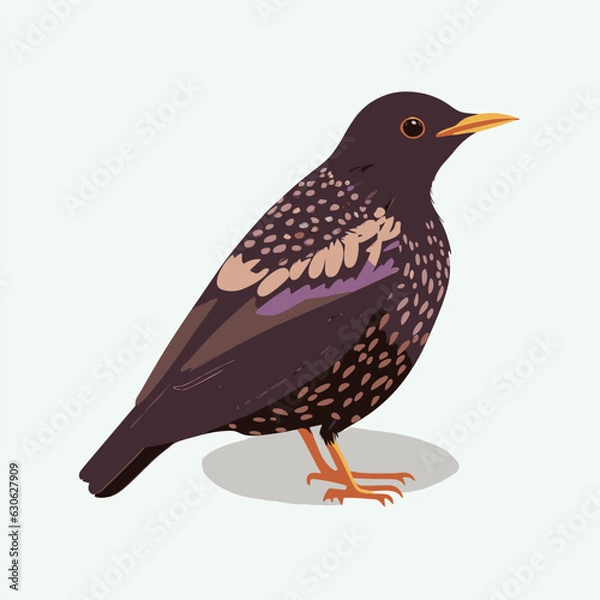 Obraz vector cute starling cartoon style