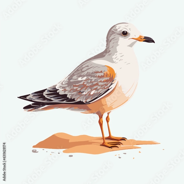 Obraz vector cute seagull cartoon style