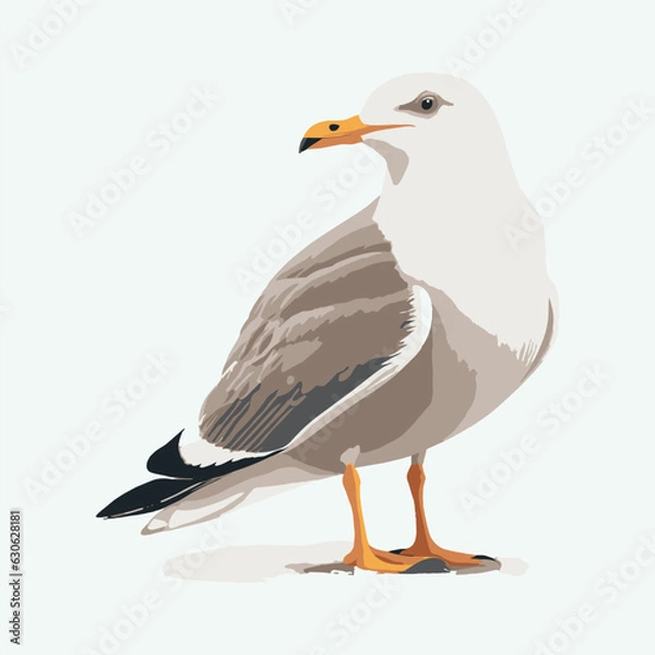 Obraz vector cute seagull cartoon style