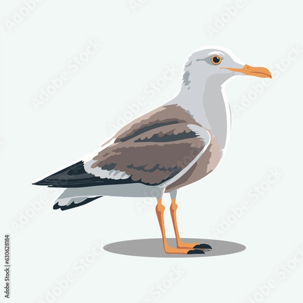 Obraz vector cute seagull cartoon style