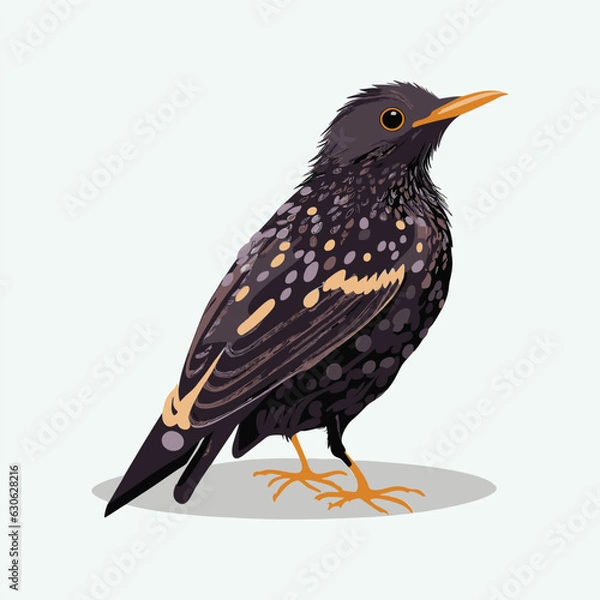 Obraz vector cute starling cartoon style
