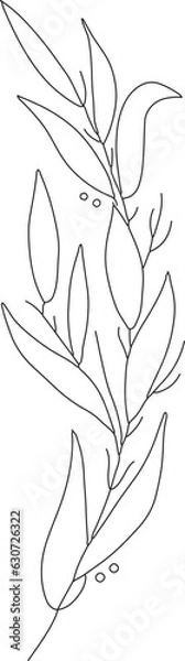 Fototapeta Simple hand-drawn vector drawing in black outline. Young larch tree, branch isolated on white background. Coniferous branch. Graphic design elements.
