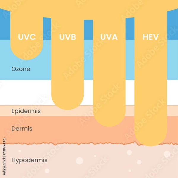 Obraz UV UVA UVB HEV skin protection. Sun radiation ultraviolet harmful rays stcok image vector. Sunburn skin layers, epidermis, dermis, hypodermis. Sunlight damage cancer risk. UV index chart, SPF cream