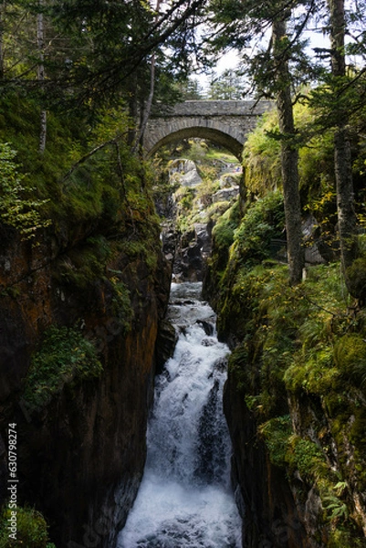 Obraz River Through the Forest