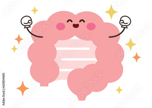 Fototapeta にっこりと元気な腸のキャラクターイラスト