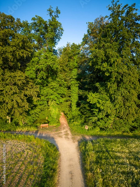 Obraz Waldlandschaft