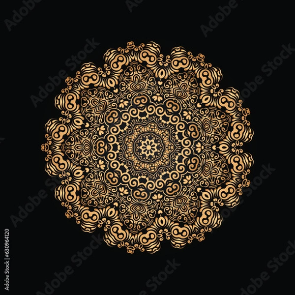 Obraz Vector luxury mandala