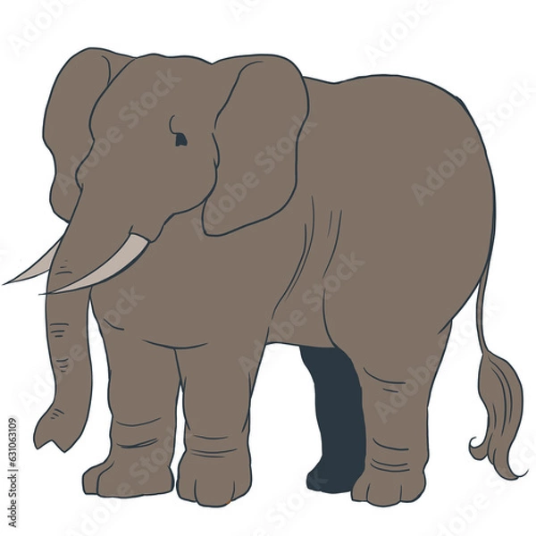 Obraz アフリカゾウ01