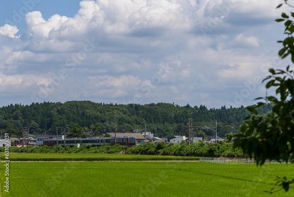 Fototapeta 鉄道のある風景①