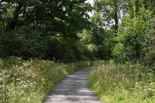 Obraz a walk along the tarka trail near Torrington