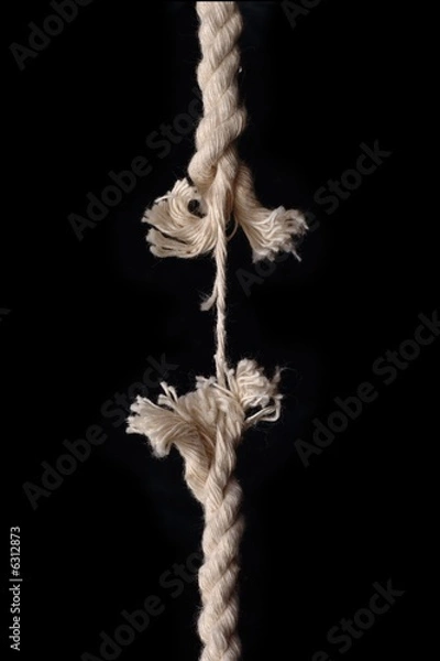 Obraz Hanging by a thread