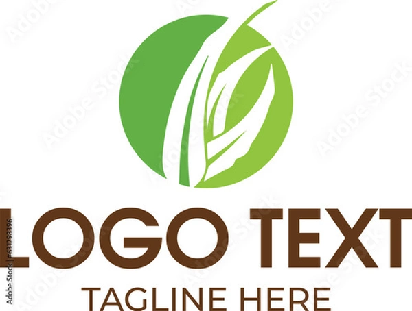 Obraz Aloe vera leaf logo design