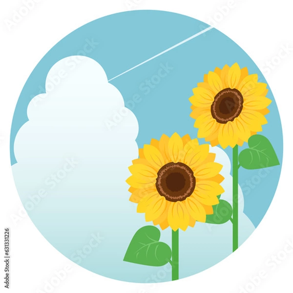 Obraz ひまわりと入道雲