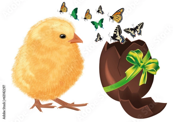 Obraz pulcino con uovo