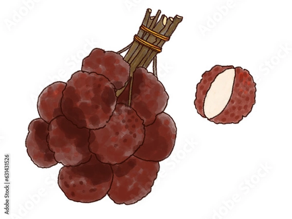 Obraz ライチのイラスト素材