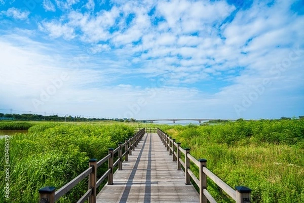 Fototapeta 파란 하늘 아래 호수 공원 길