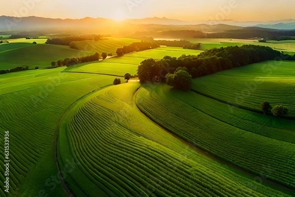 Obraz sunset over the field