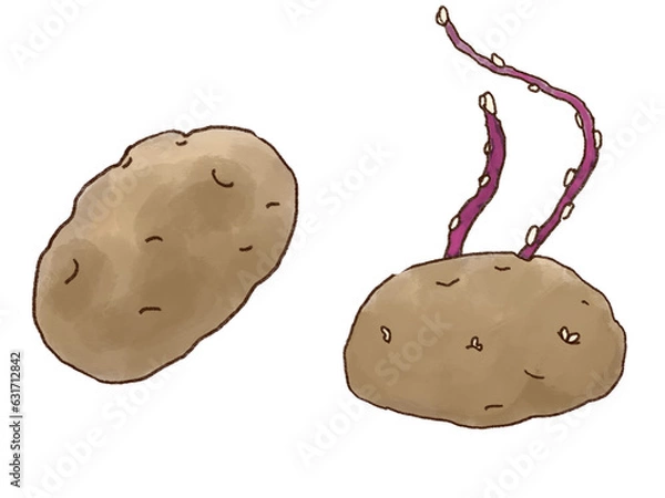 Obraz ジャガイモのイラスト素材