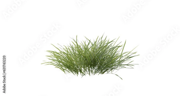 Fototapeta Bunches of grass on a transparent background. 3D rendering.	
