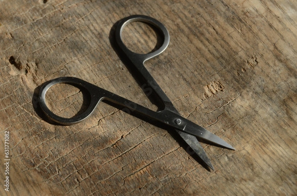 Obraz Nail-scissors-2