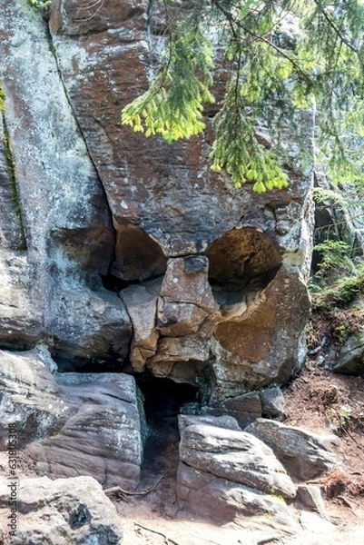 Obraz skała czaszka