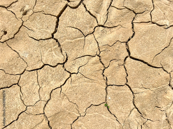 Obraz Cracked dry ground